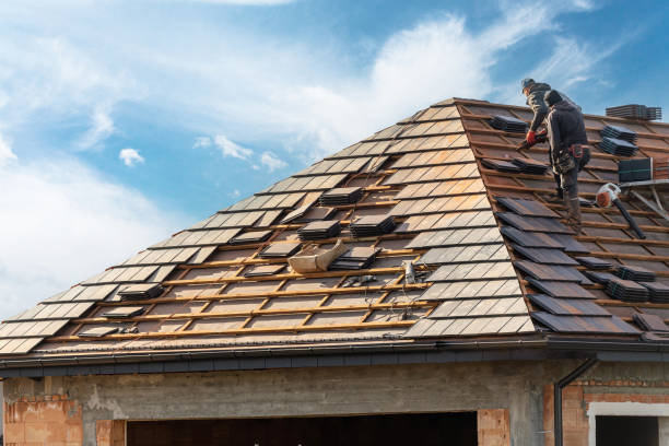 Best Solar Panel Roofing Installation  in Morton, TX